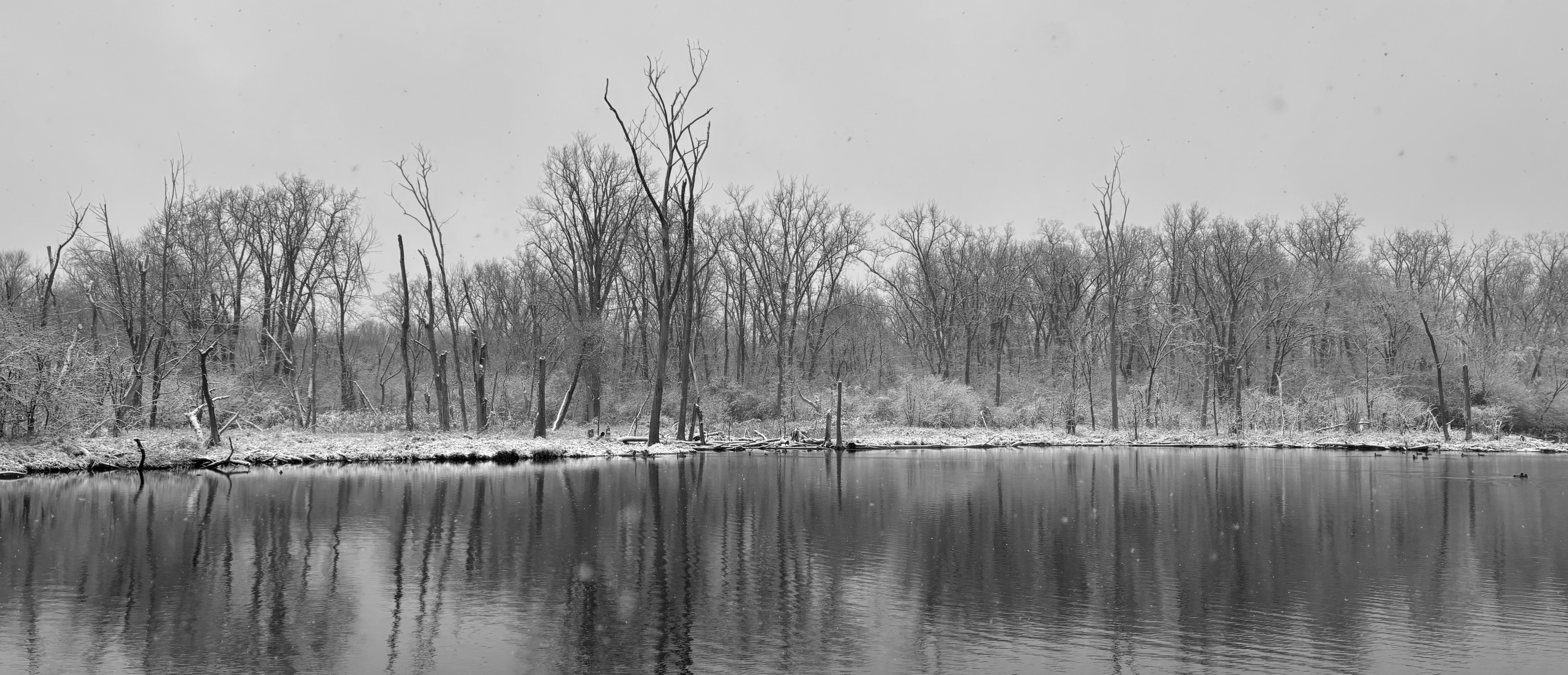 Winter Lake, East Lansing